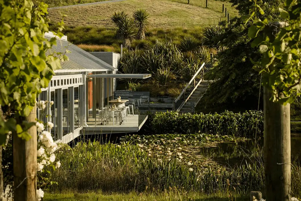 Horse Riding & Wine Tasting | Private Tour From Auckland