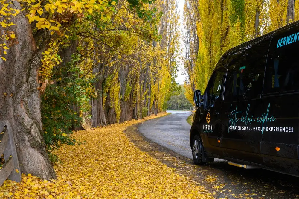 Big Day Out from Hobart to Cradle Mountain - Small Group Tour