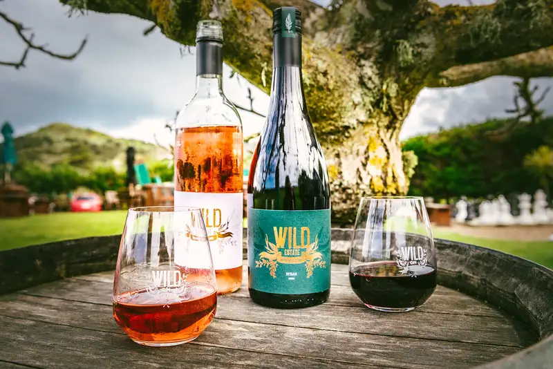 Fun-Filled Beer, Wine & Oyster Tasting