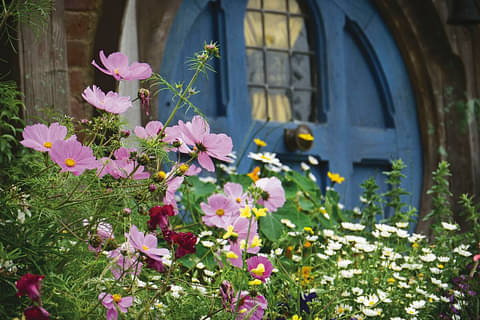 Hobbiton Movie Set Day Tour deals