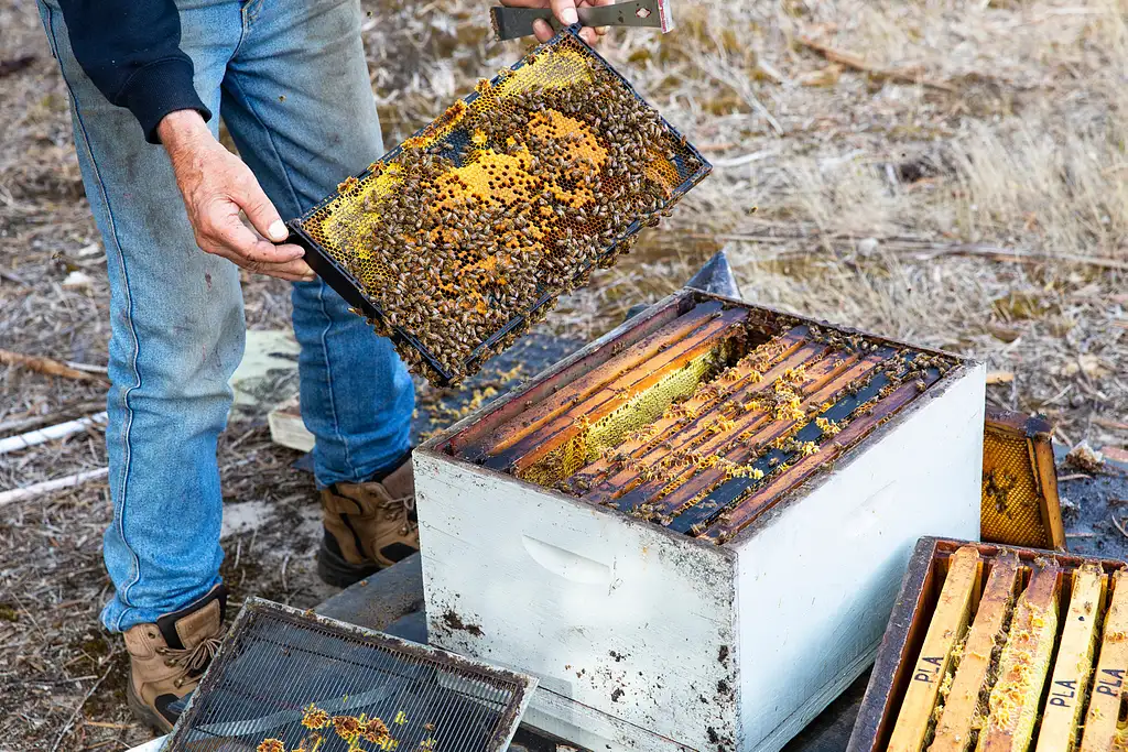 Full Day Gourmet Food & Wine Tour Kangaroo Island