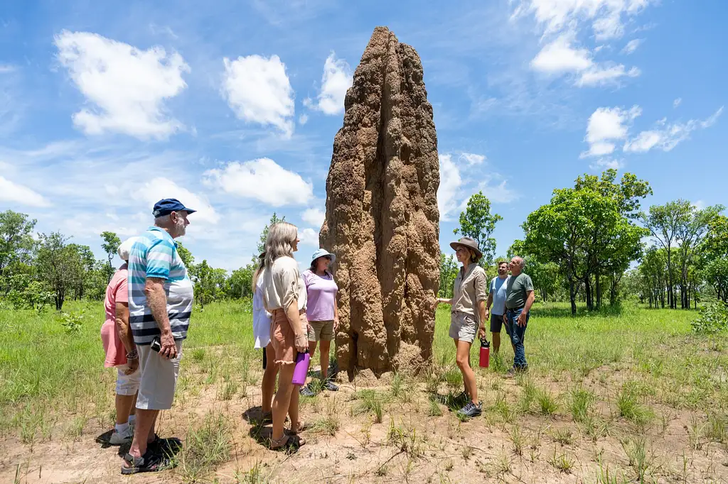 3 Day Kakadu to Litchfield 4WD Swag Camping | From Darwin (BDTNT100EXT)