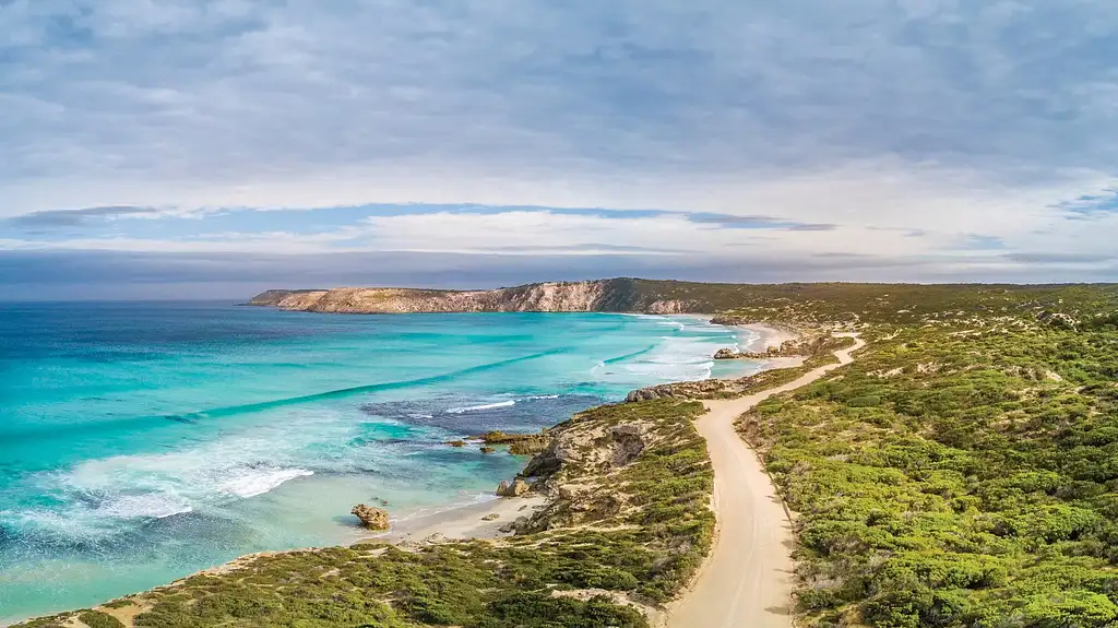 Scenic Nature & Wildlife Tour | From Kingscote