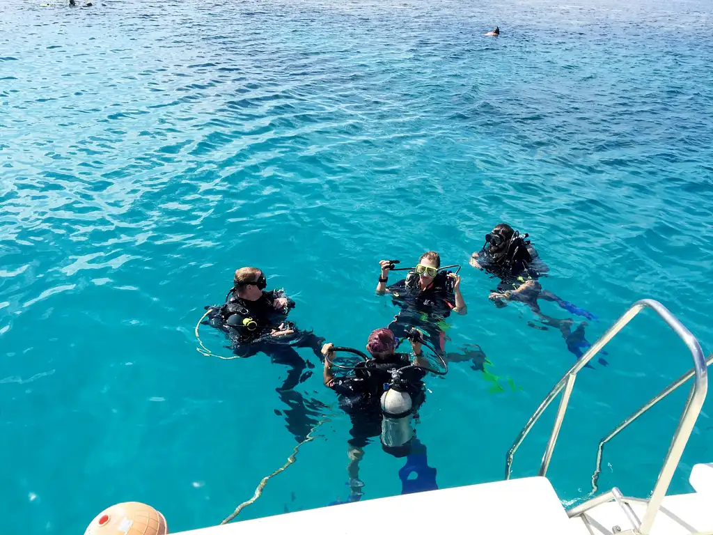 Full Day Snorkel And Dive Outer Great Barrier Reef - Ex Mission Beach