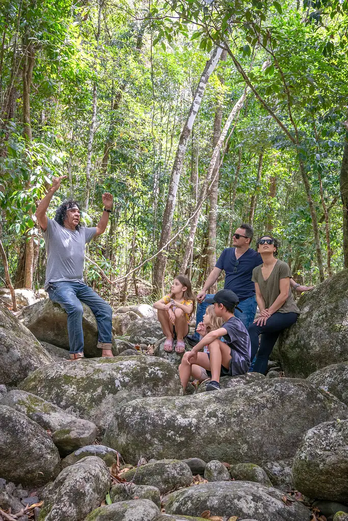 Full Day Or Half Day Daintree Rainforest Walkabout
