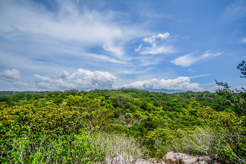rainforest-rincon-de-la-vieja
