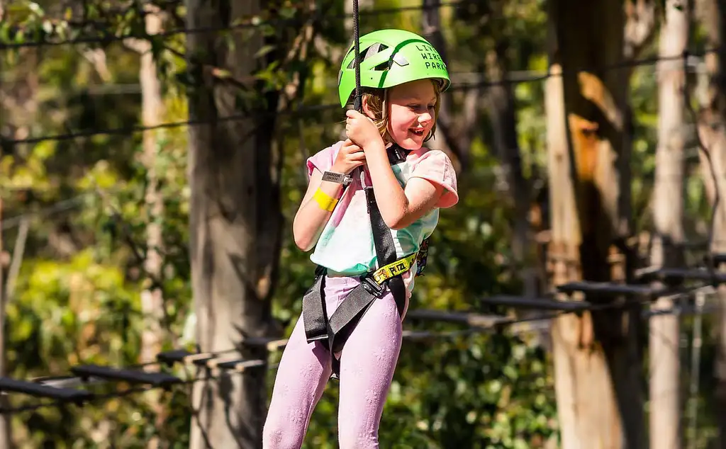 Lorne Short Circuit Treetop Adventure