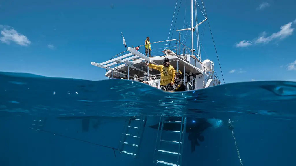 Full Day Outer Reef Tour + Be a Marine Bio Experience