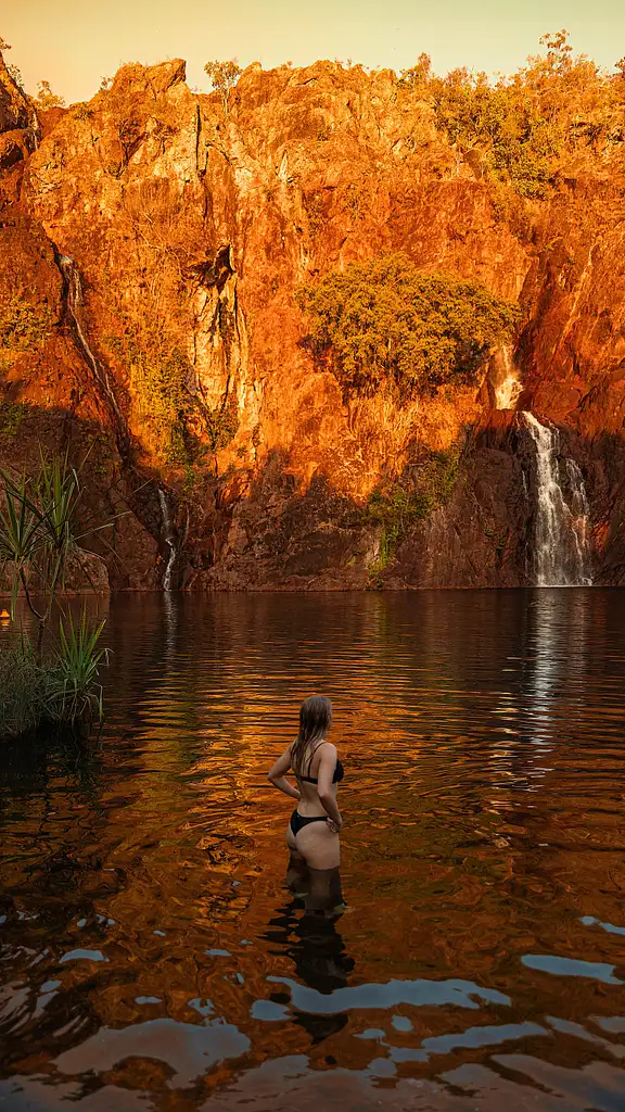 Litchfield National Park & Jumping Crocodile Cruise Full Day Adventure