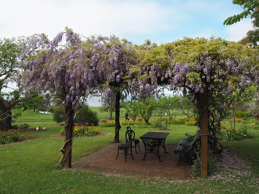 Phillip Island Penguin Parade & Churchill Island Farm Bus Tour