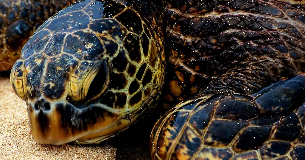 Oahu Island Photography Tour