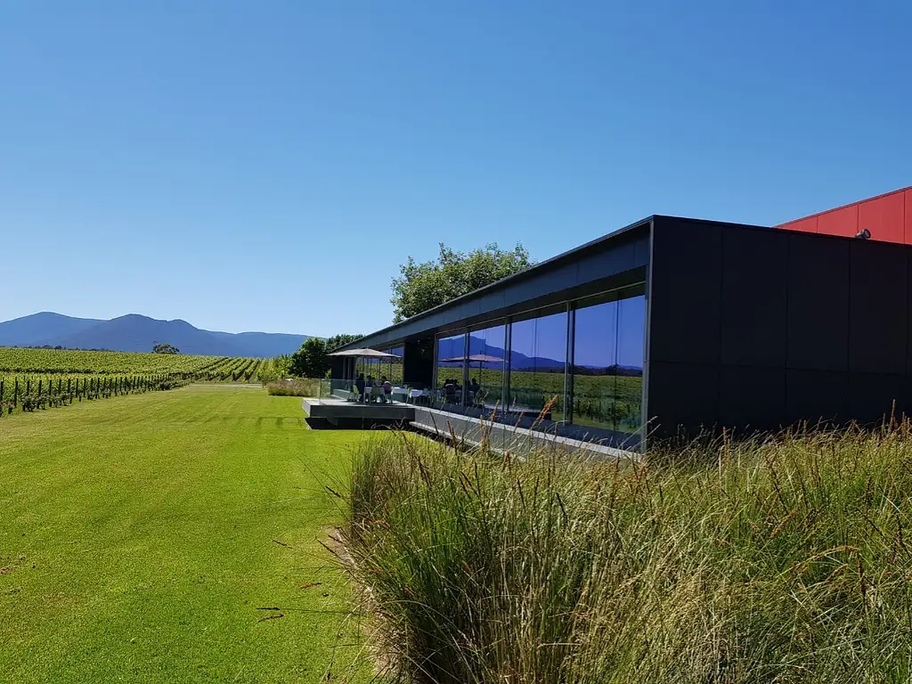 Yarra Valley Wine Tasting