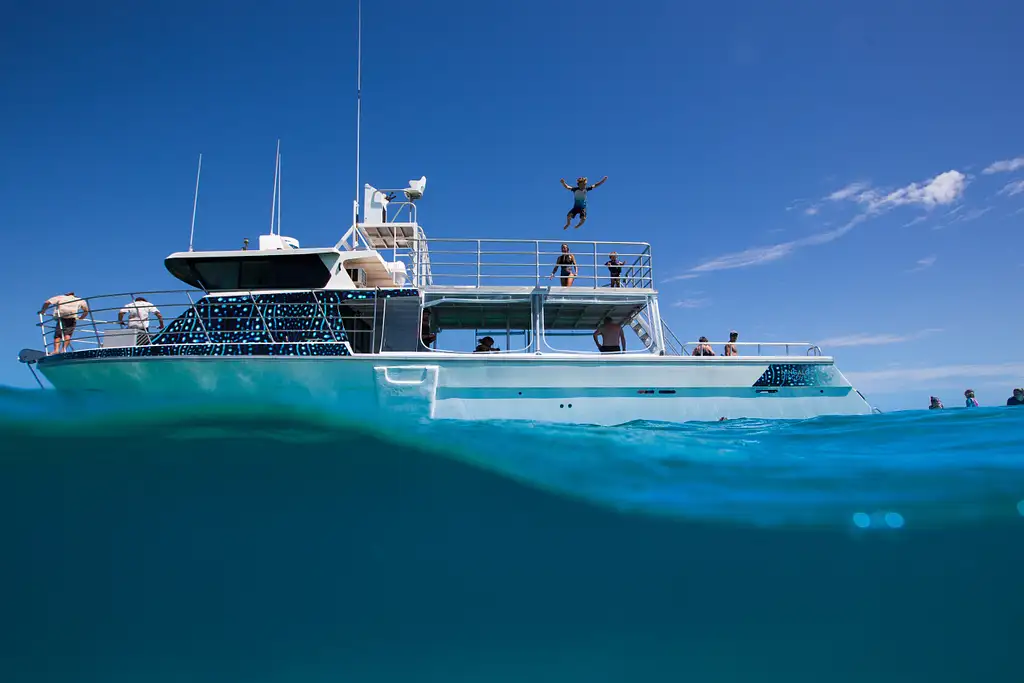 Swim with Whale Sharks Ningaloo on a Powerboat (March-June) | from Exmouth
