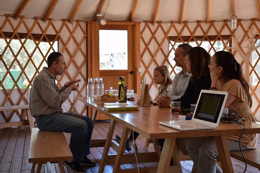 Olive Grove And Olive Oil Tasting Full Day Tour From Athens | Private Tour