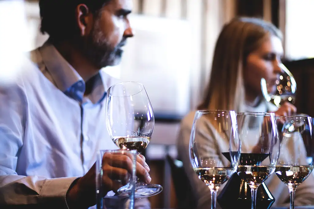 Gin / Wine Tasting Dinner in the Paddock Small Group Tour