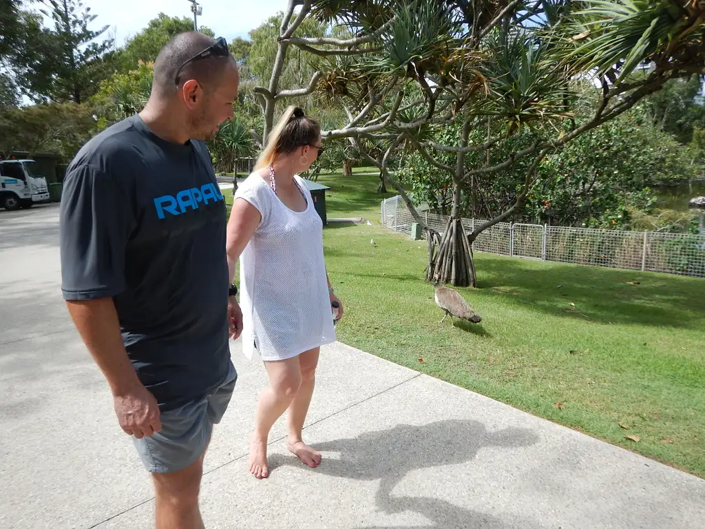 Surfers Paradise Stand Up Paddleboard Tour