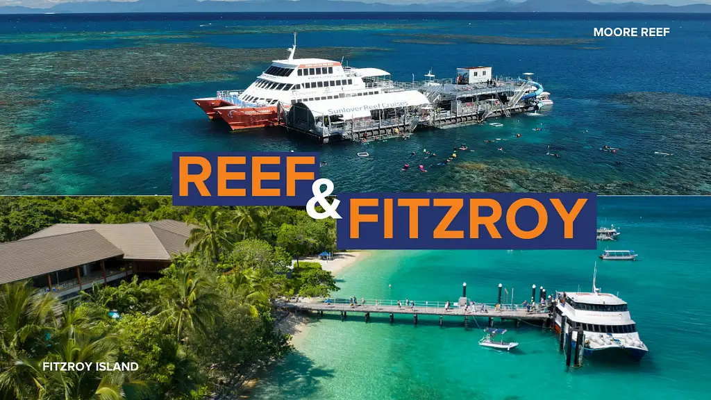 Moore Reef & Fitzroy Island | Reef & Island in a Day Tour