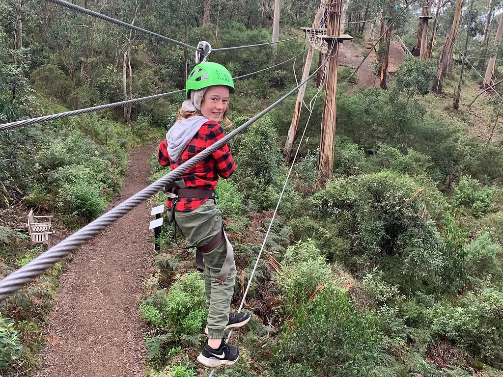 Lorne Short Circuit Treetop Adventure