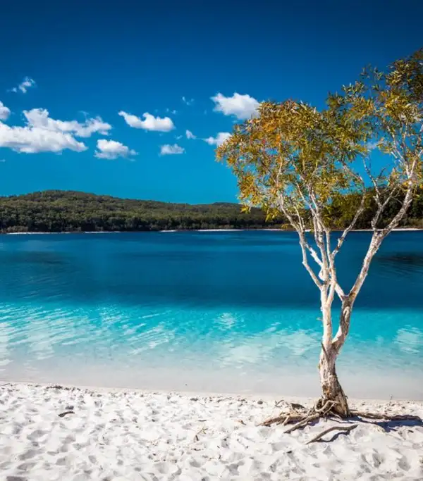 Swimming on K'gari (Fraser Island): A Paradise for Water Lovers
