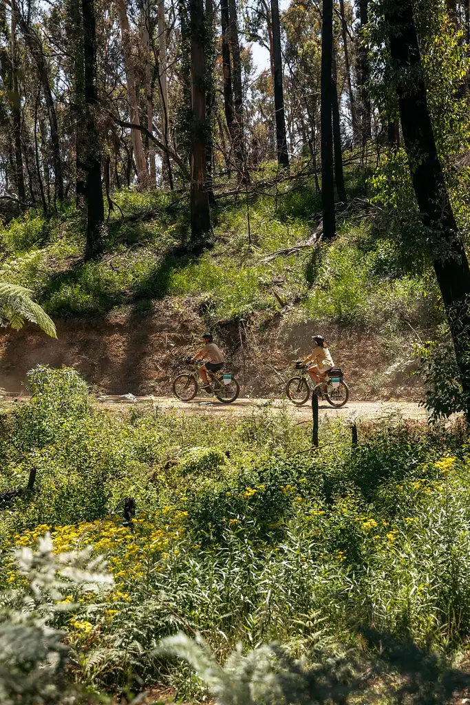 Self-Guided E-Bike Tour - Wagonga Wilderness Loop