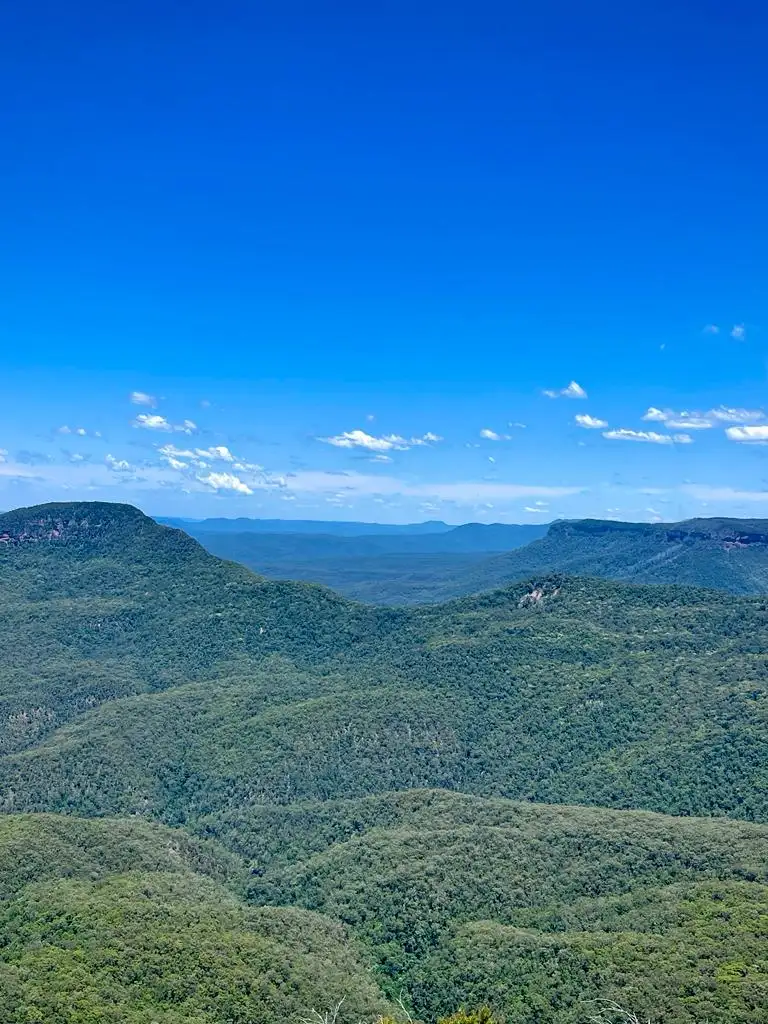 Blue Mountains & Featherdale Full Day Tour