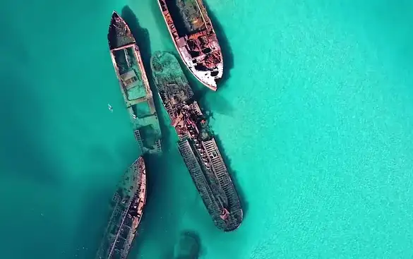 The best Moreton Island Day Trips