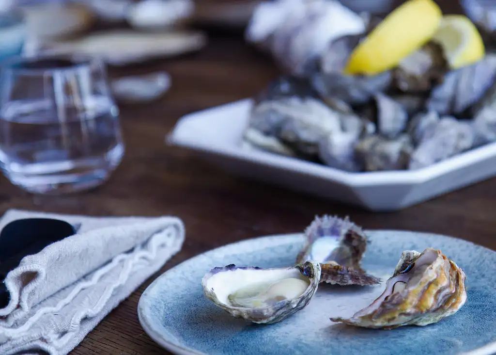 Farm to Plate | Broken Bay Farm Cruise & Oyster Tasting