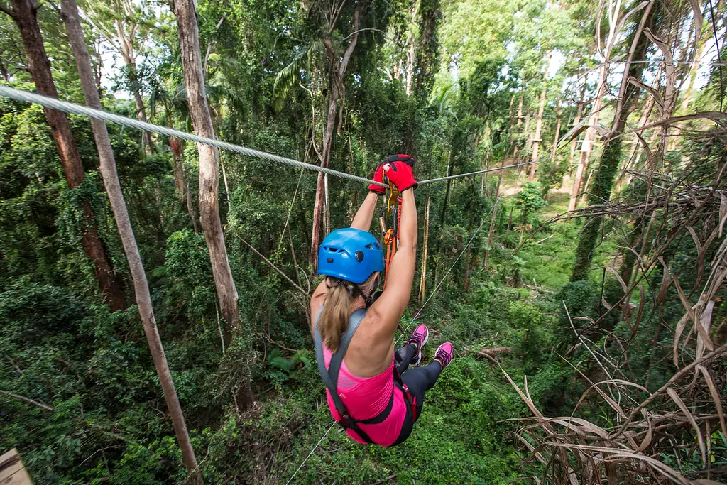 Treetop Challenge Sunshine Coast (Big Pineapple)