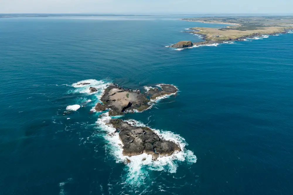 Scenic Flight 3 –  Seal Rocks, Penguins & The GP Circuit