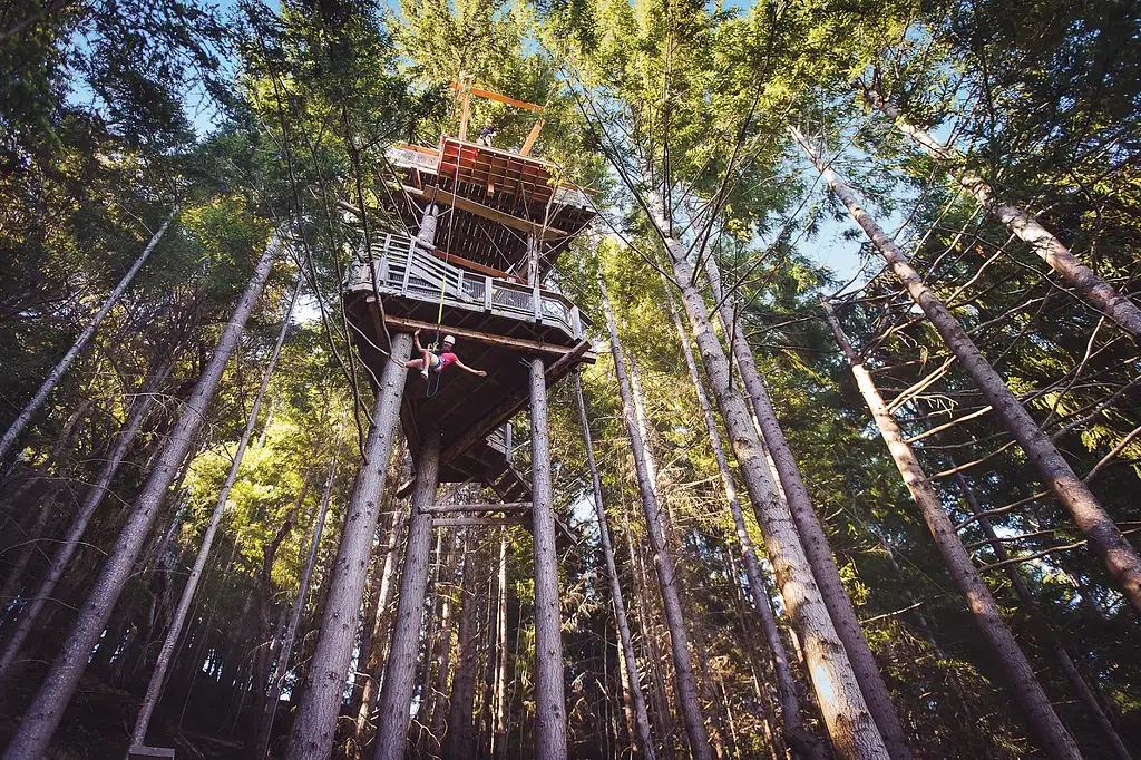 Queenstown Zip & Sip Tour