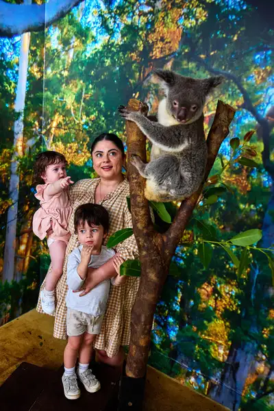 Cairns Koalas & Creatures | with Optional Koala Photo Experience