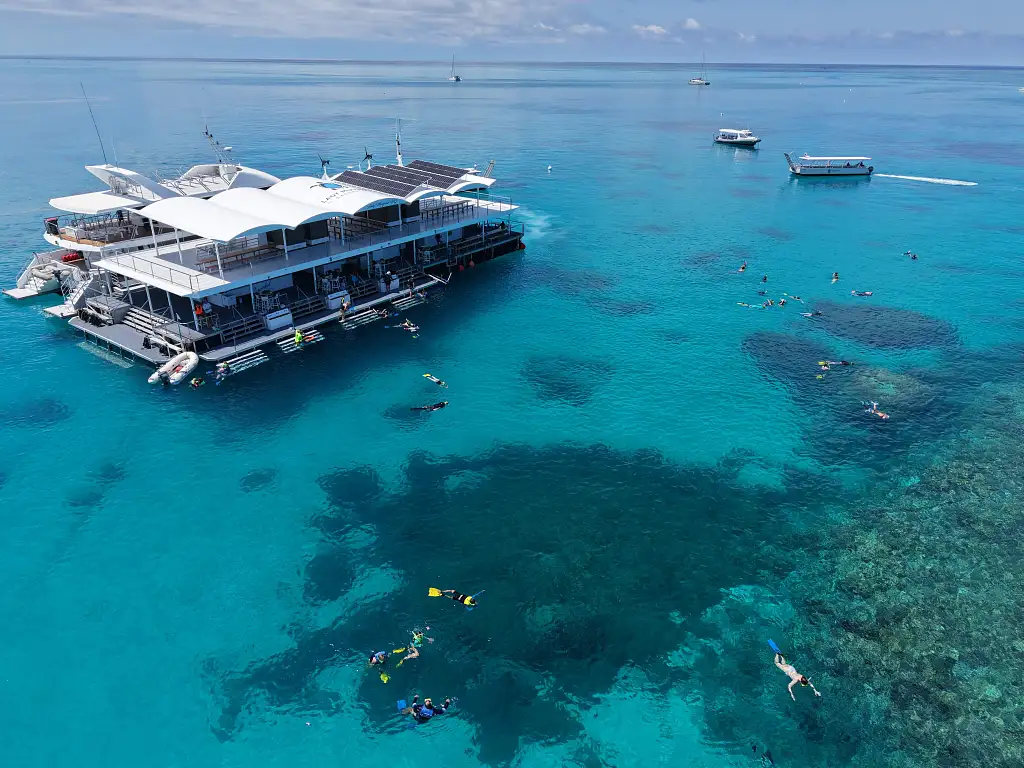 Lady Musgrave Experience Southern Great Barrier Reef Full Day Tour | From Bundaberg