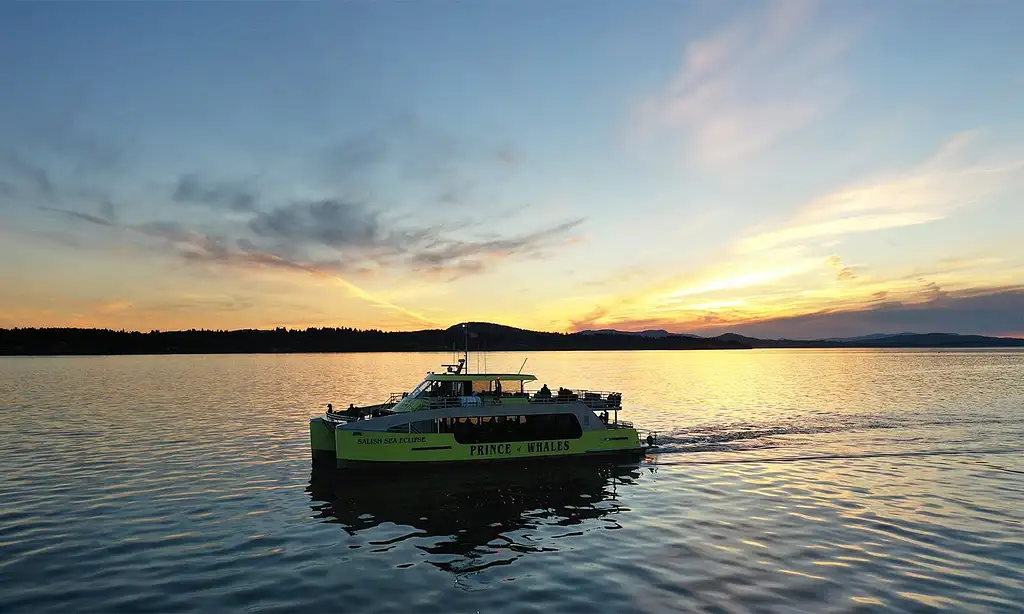 Sunset Whale Watching Adventure | From Victoria