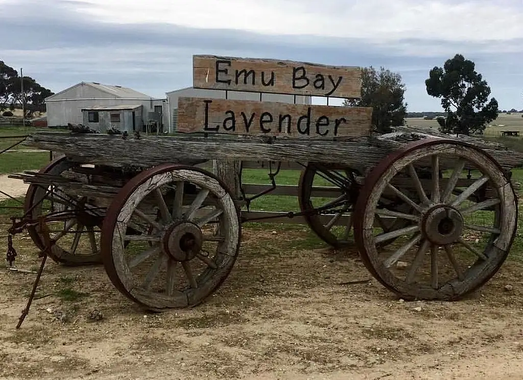 Kangaroo Island Half Day Tasting Tour | From Kingscote