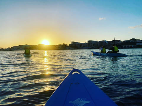 Gold Coast Sunset Kayak Tour