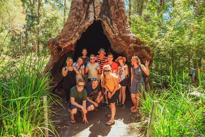 Western Australia Margaret River Adventure - 3 Days (Accommodated)
