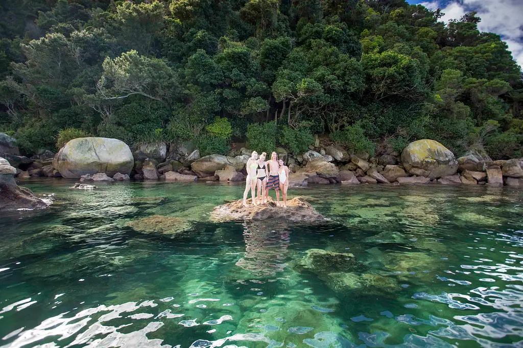 20 Day Tui Tour | Auckland to Christchurch | Stray