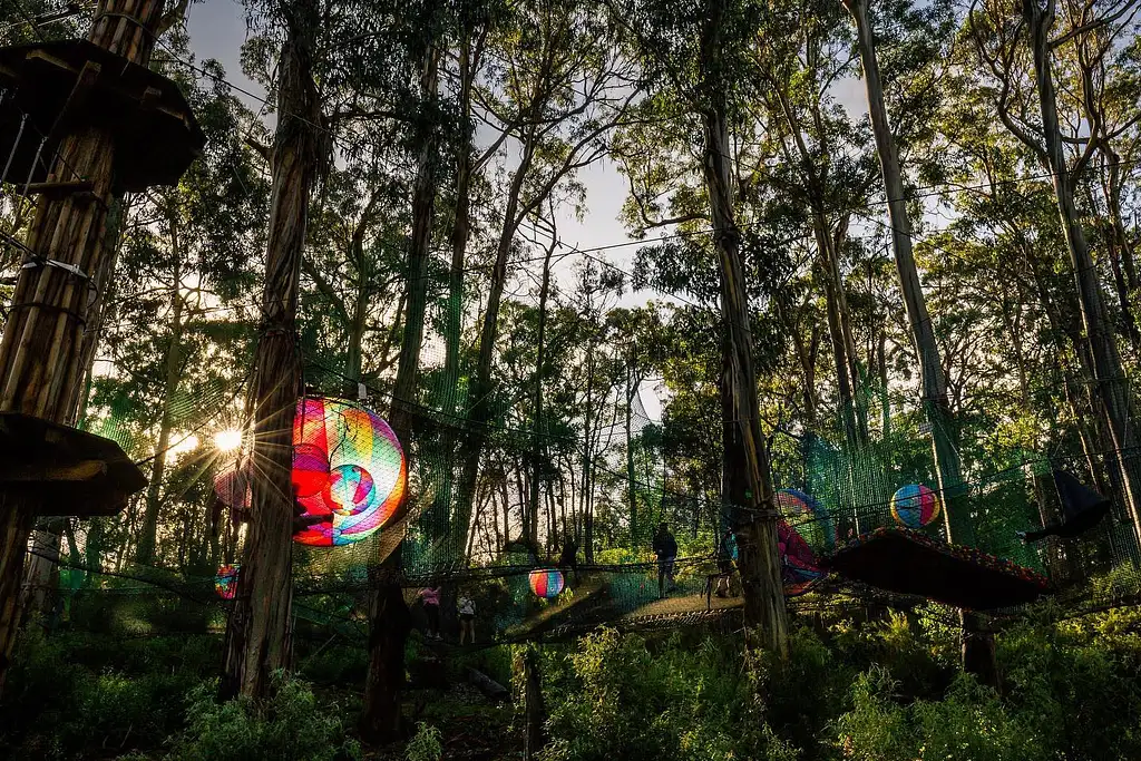 Lorne Short Circuit Treetop Adventure