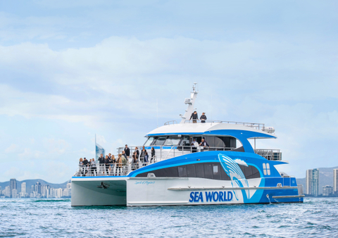 Gold Coast Whale Watching Cruise deals