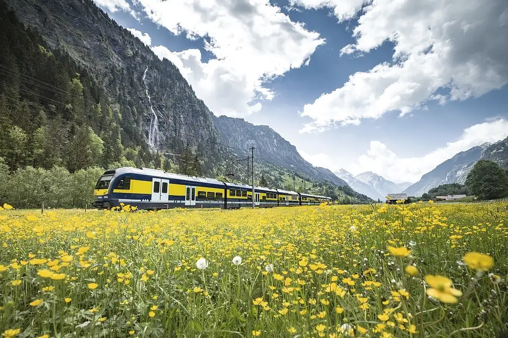 Grindelwald and Mount First Full-day Adventure
