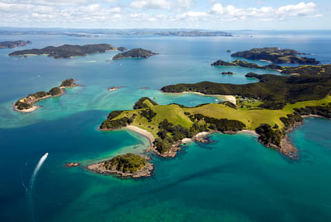 Bay of Island Cruise