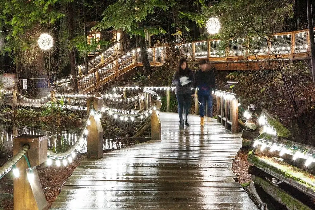Vancouver and Capilano Canyon Lights Christmas Guided Tour