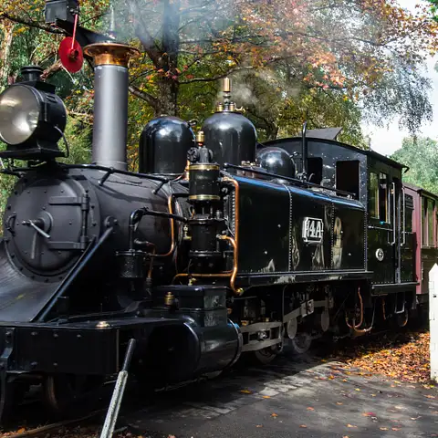Puffing Billy And Healesville Sanctuary Scenic Bus Tour Discount
