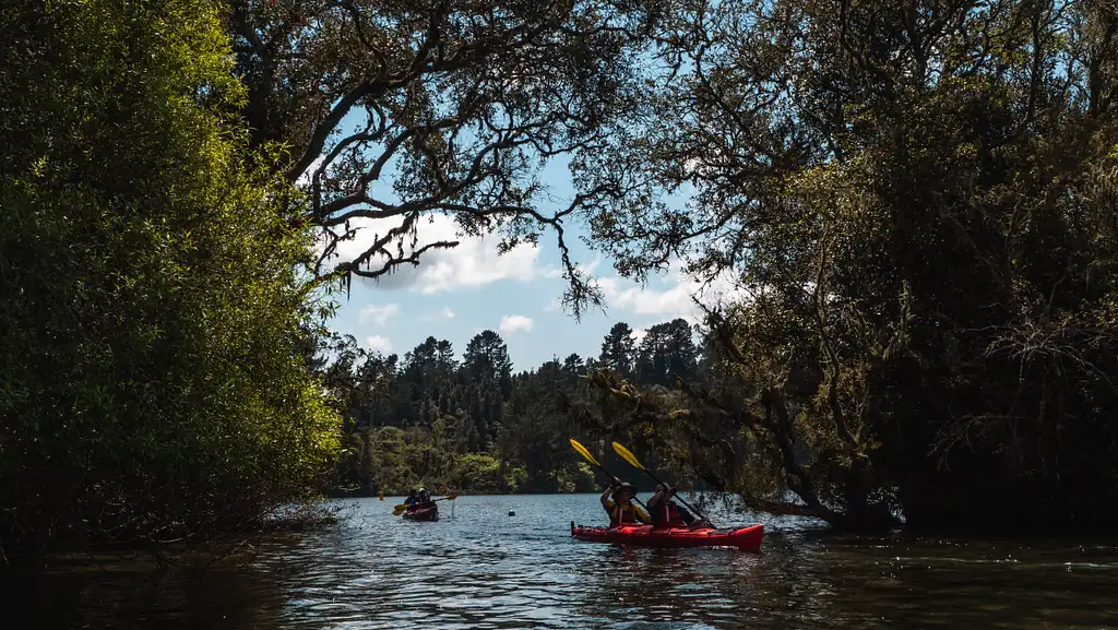 Scenic Lake Rotoiti Kayak Tour