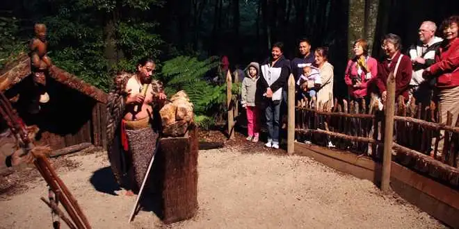 Click Frenzy Deal - Tamaki Maori Village Cultural Experience