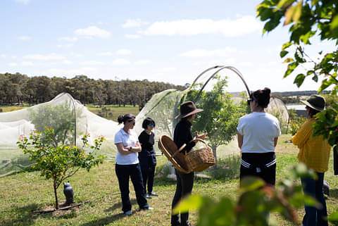 margaret river tours