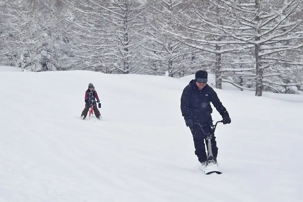 Snow Monkeys & Snow Fun In Shiga Kogen, 1 Day Tour