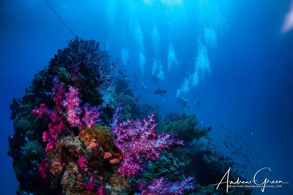 Yongala Day Trip – Certified Diver