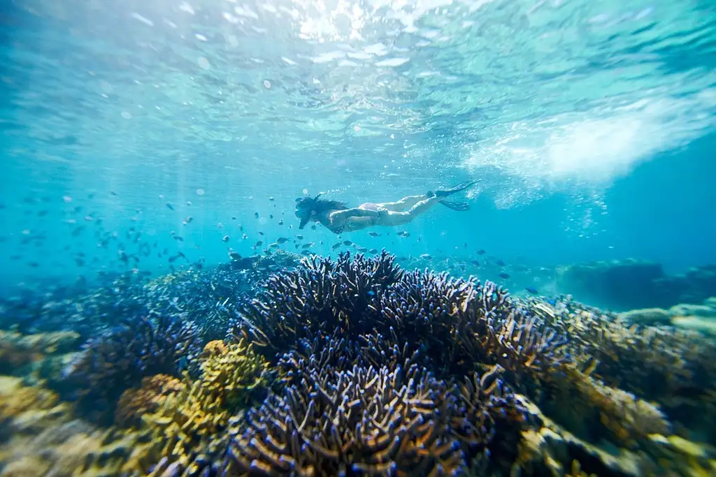 8 Day Yasawa Wanderer | Awesome Adventures Fiji