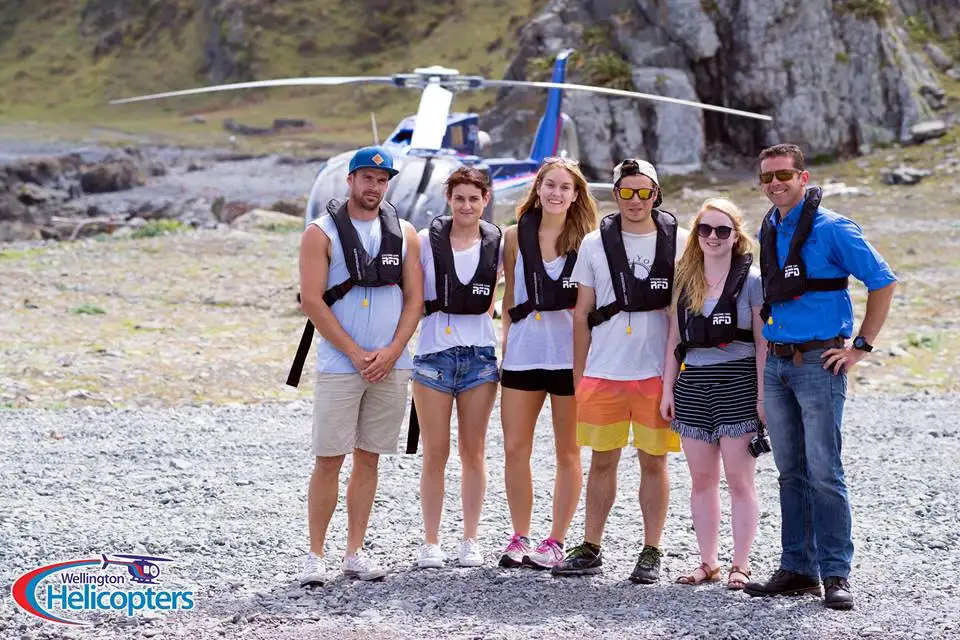 Helicopter Tour Over Wellington's South Coast